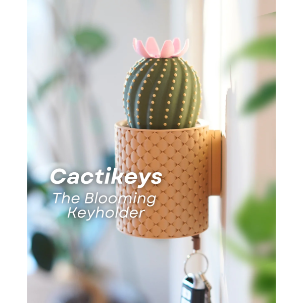 CactiKeys - Advanced, a 3D-printed wall-mounted key holder inspired by the Ball Cactus. The interactive design blooms when keys are placed below.